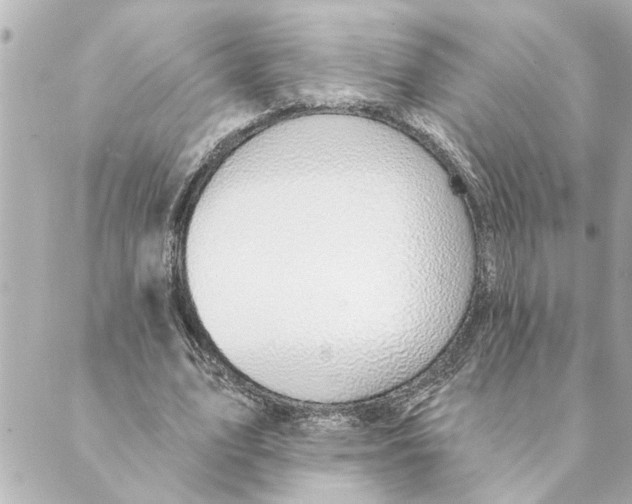 X0000088610583200706221433