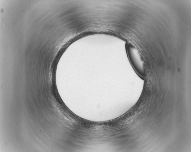 X0000088610584200706221433