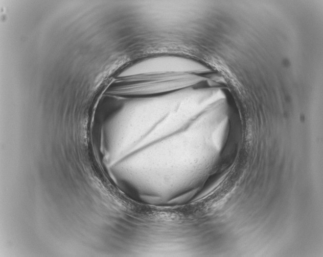 X0000088610585200706221433