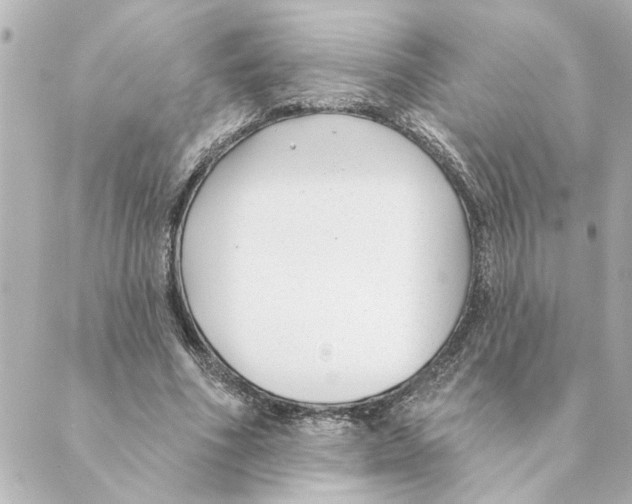 X0000088610586200706221433