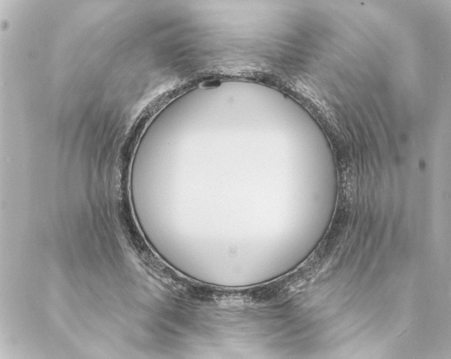 X0000088610587200706221433