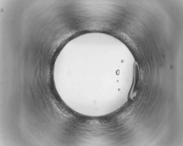 X0000088610588200706221433