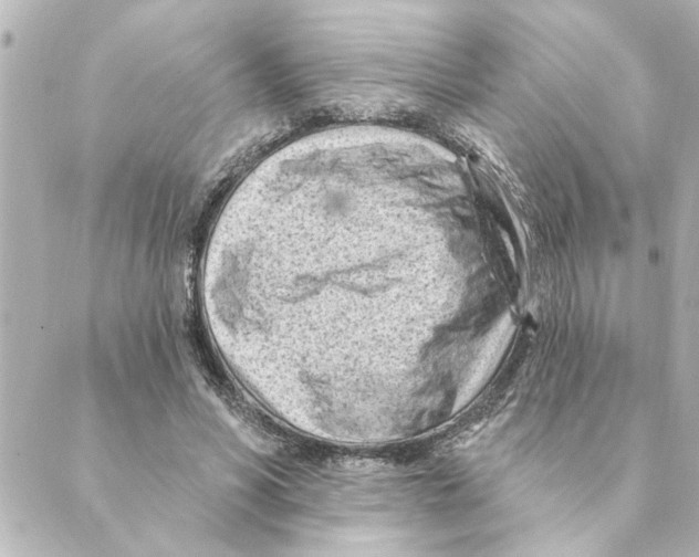 X0000088610590200706221433