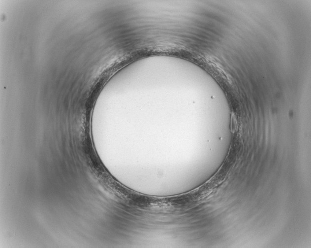 X0000088610591200706221433