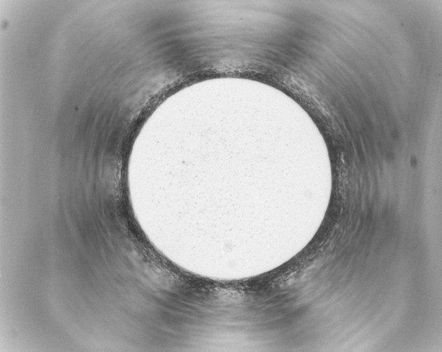 X0000088610592200706221432