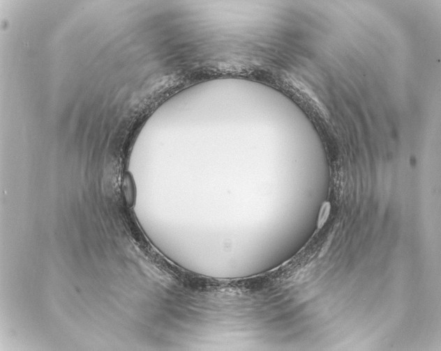 X0000088610593200706221432