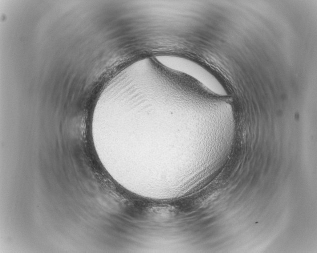 X0000088610595200706221432