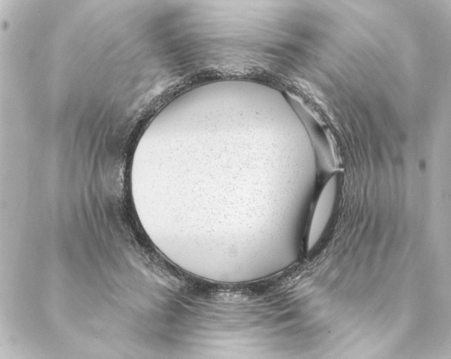 X0000088610596200706221432