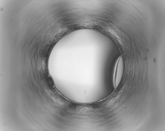 X0000088610597200706221432