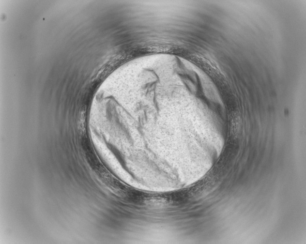 X0000088610598200706221432