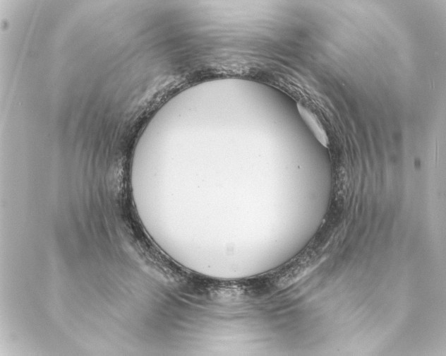 X0000088610600200706221432