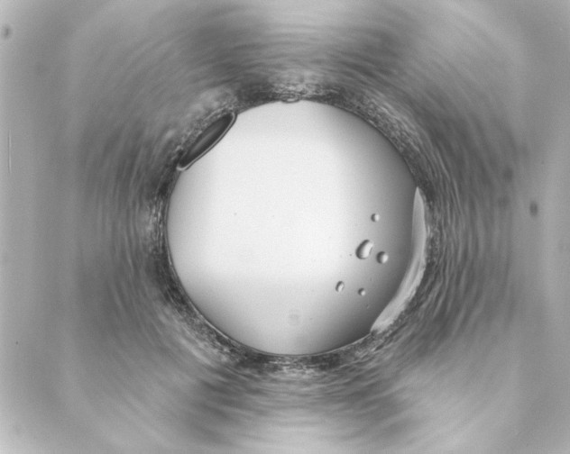 X0000088610601200706221432