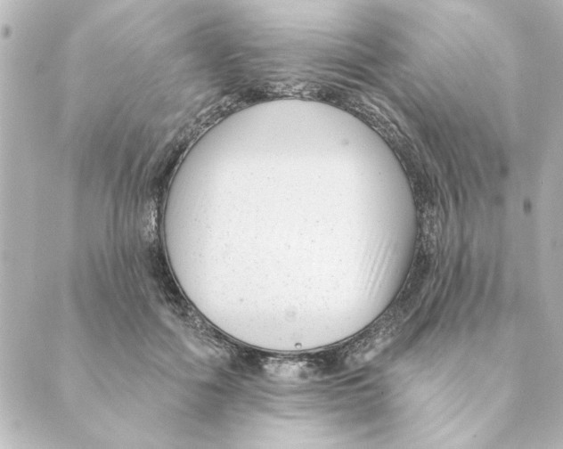 X0000088610602200706221432