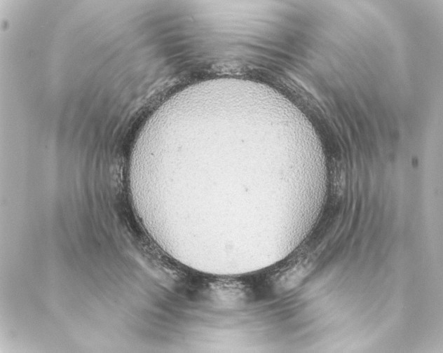 X0000088610603200706221432