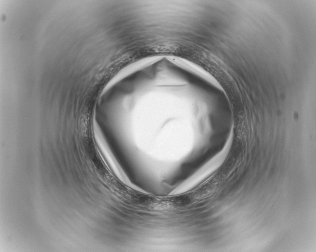 X0000088610604200706221432