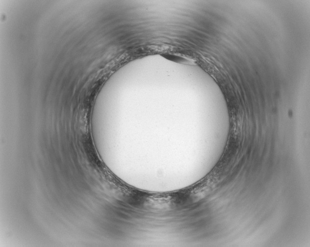 X0000088610606200706221432