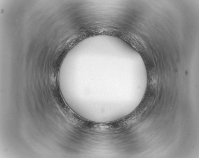 X0000088610607200706221432