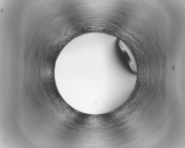 X0000088610608200706221432