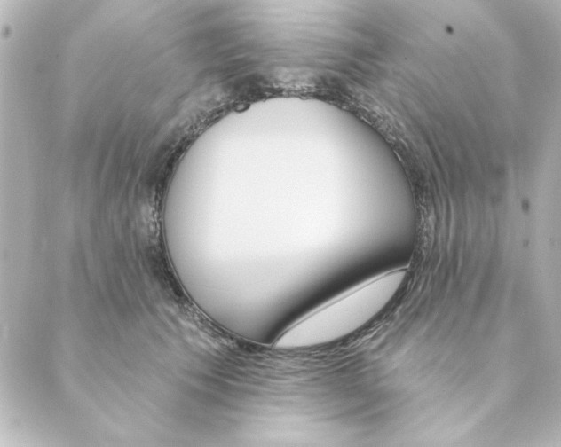 X0000088610609200706221432