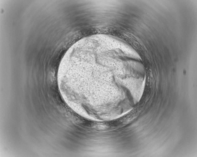 X0000088610610200706221432