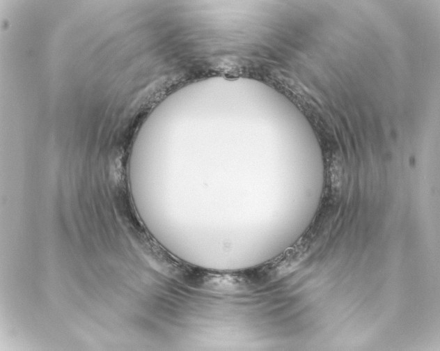 X0000088610611200706221432