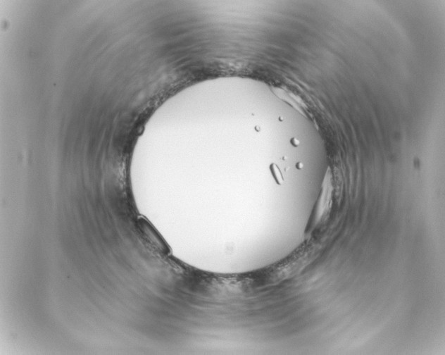 X0000088610613200706221432