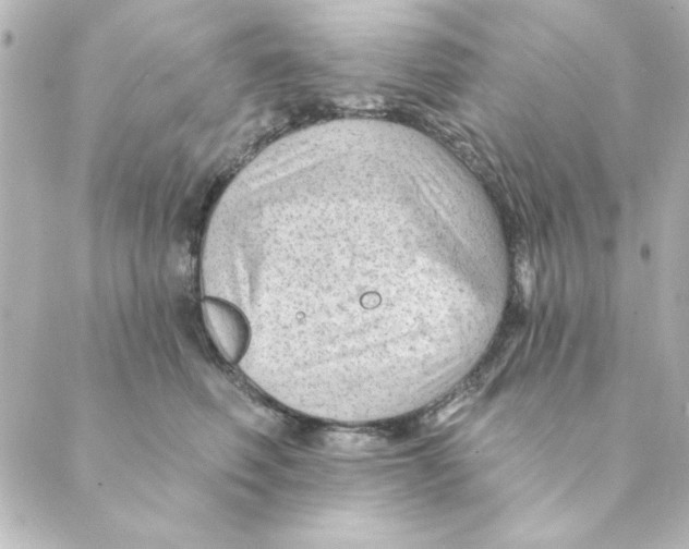 X0000088610614200706221432