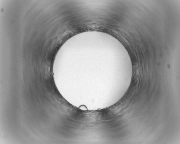 X0000088610615200706221432