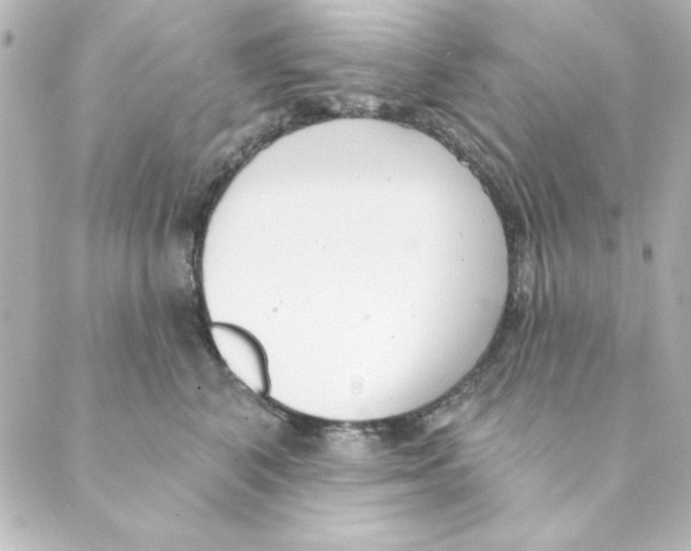 X0000088610616200706221432