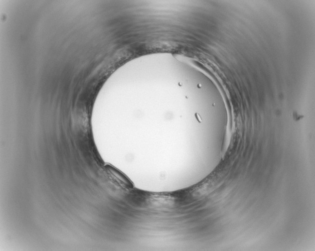 X0000088610617200706221432