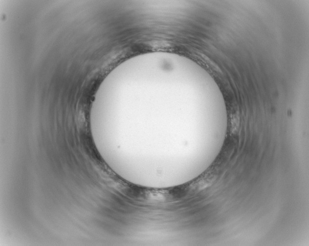 X0000088610618200706221432