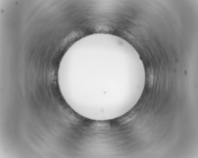 X0000088610619200706221432