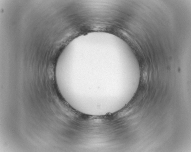 X0000088610620200706221432