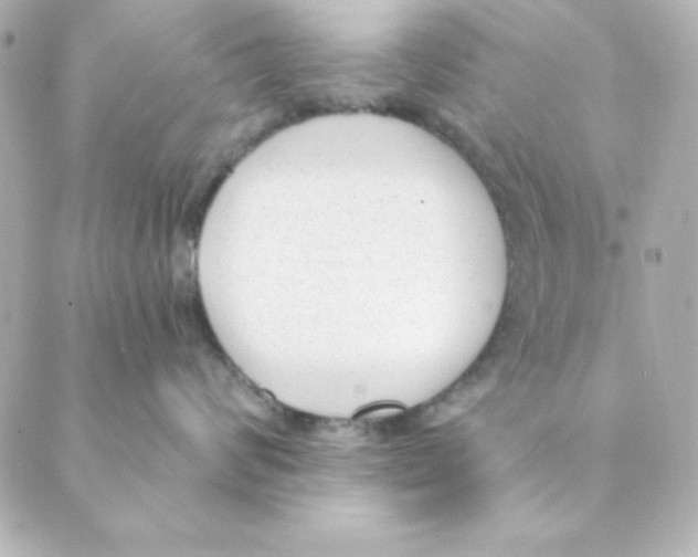 X0000088610624200706221432