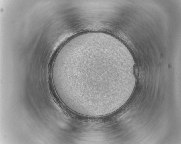 X0000088610626200706221431