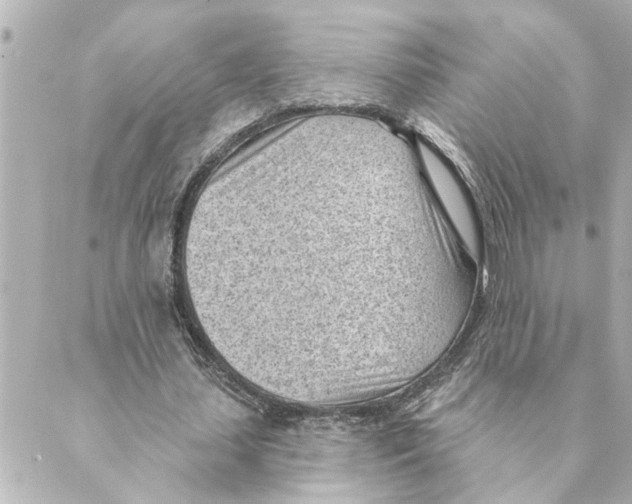 X0000088610627200706221431