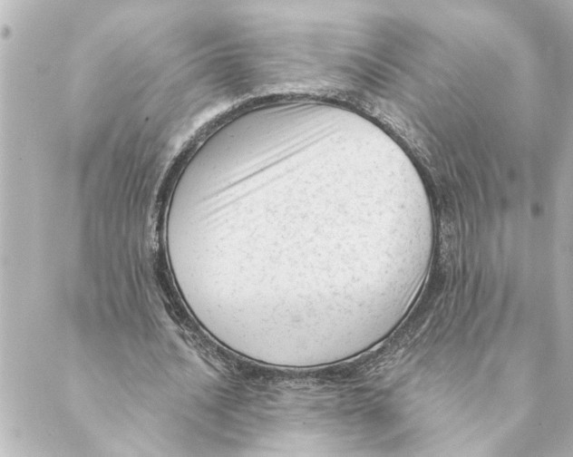 X0000088610628200706221431