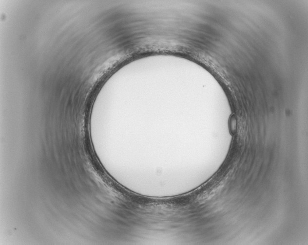 X0000088610629200706221431