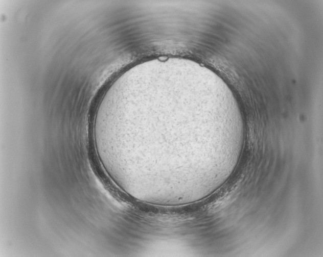 X0000088610630200706221431