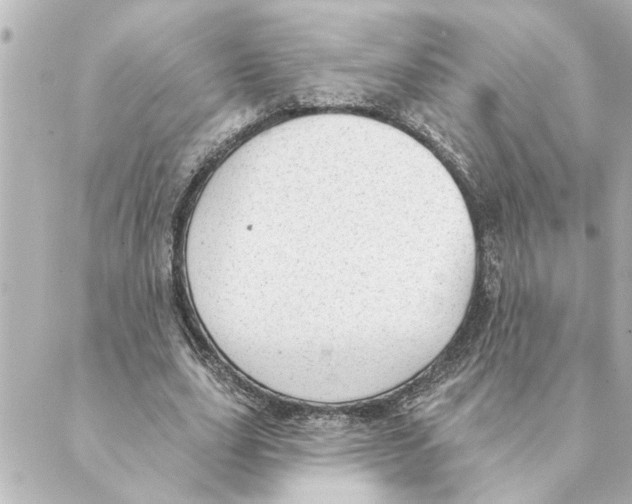 X0000088610631200706221431