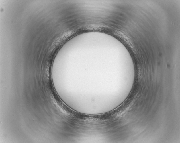 X0000088610633200706221431