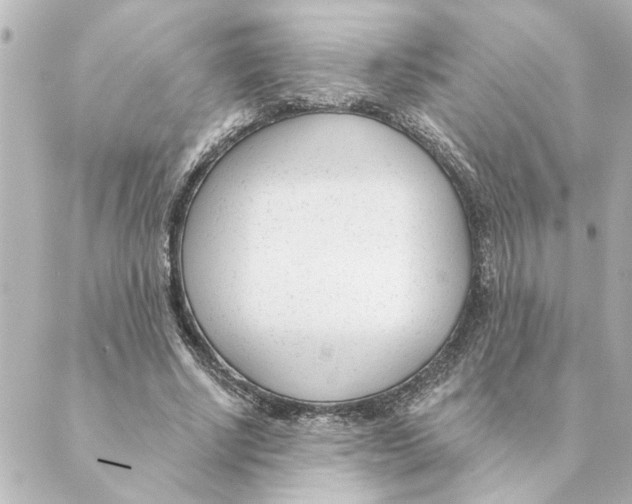 X0000088610634200706221431