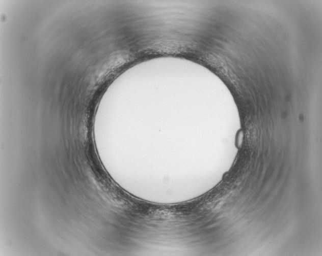 X0000088610635200706221431