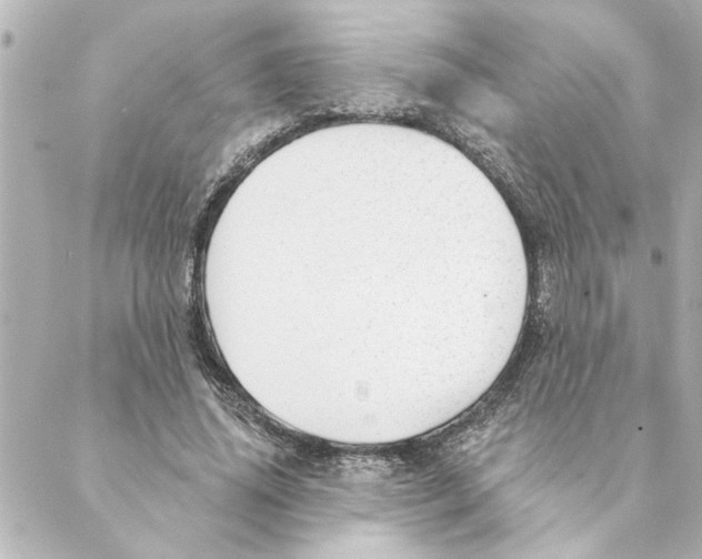 X0000088610636200706221431