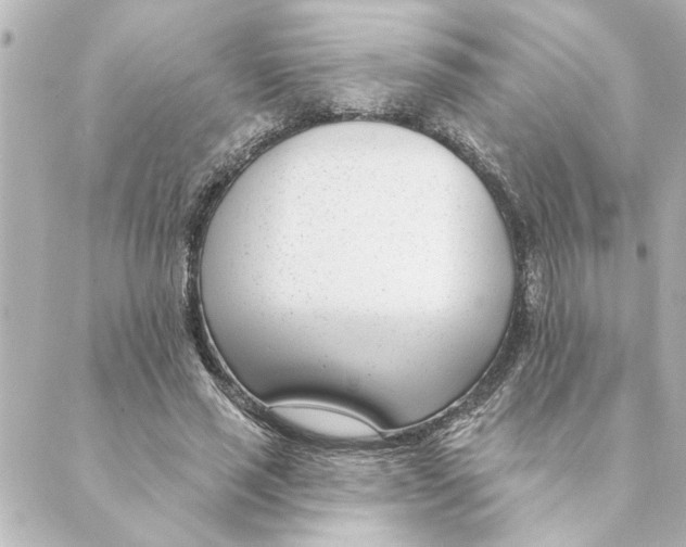 X0000088610637200706221431