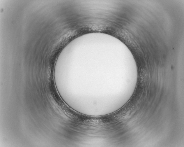 X0000088610639200706221431