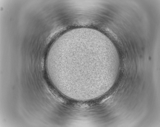 X0000088610640200706221431