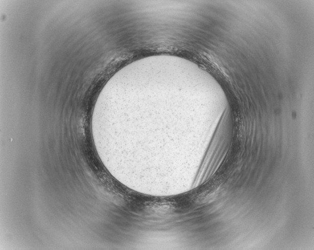 X0000088610643200706221431