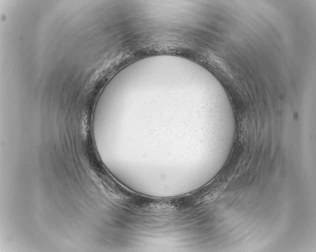 X0000088610644200706221431