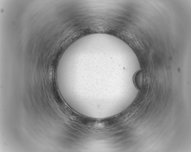 X0000088610647200706221432